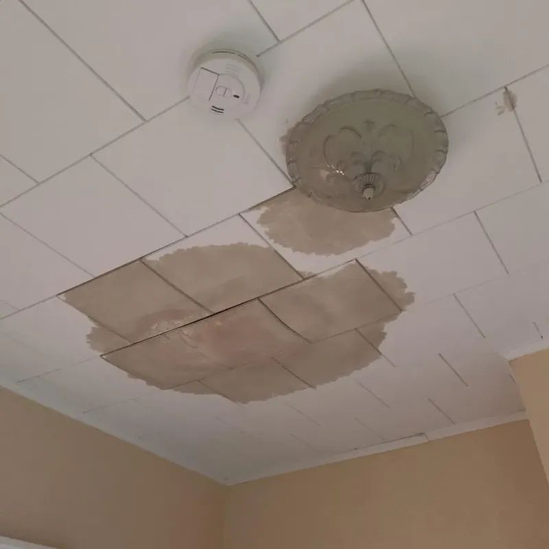 Ceiling Water Damage Repair in Aurora, OH