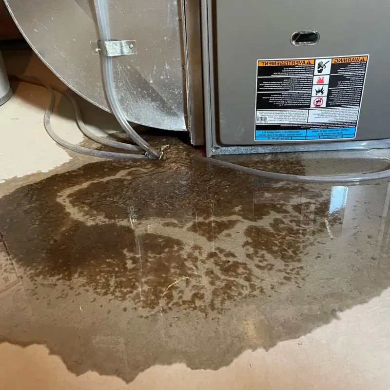 Pipe Burst and Leak Restoration in Aurora, OH