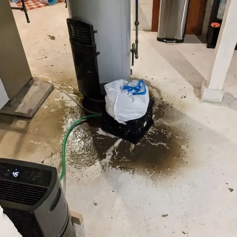 Sewage Backup Cleanup Service in Aurora, OH